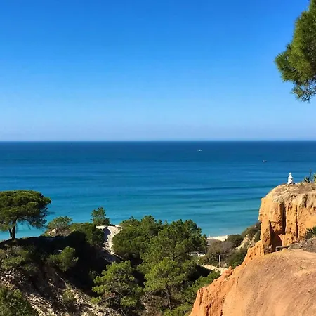 Charming House In Olhos De Agua With Shared Pool Holiday home Olhos de Agua (Albufeira)